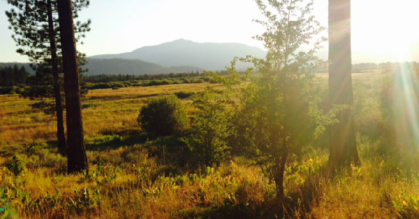writing, writing retreat, writing prompts